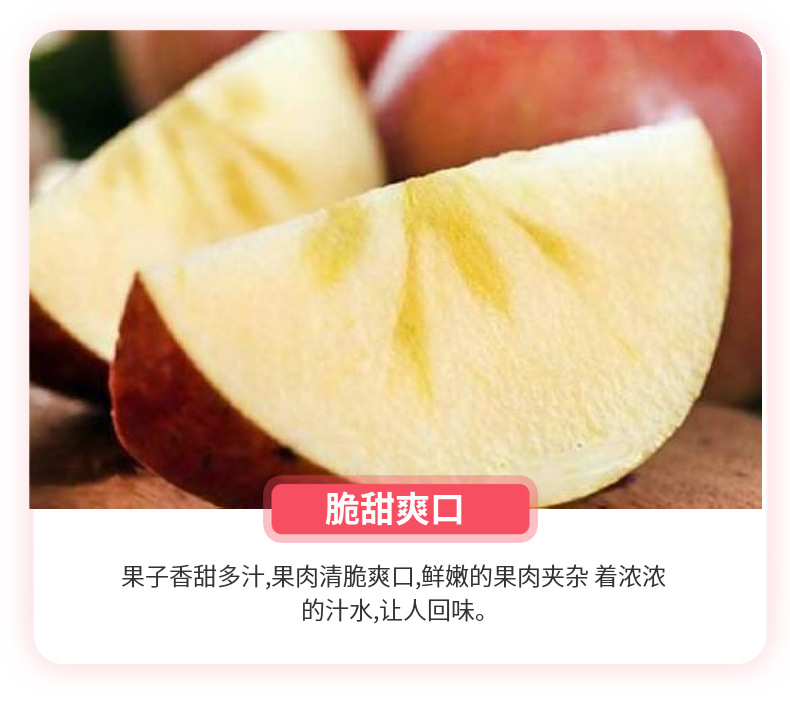 四川丑苹果 详情图 6