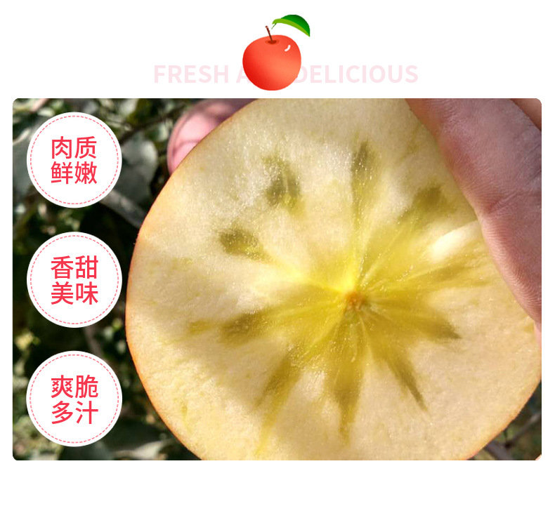 四川丑苹果 详情图 8