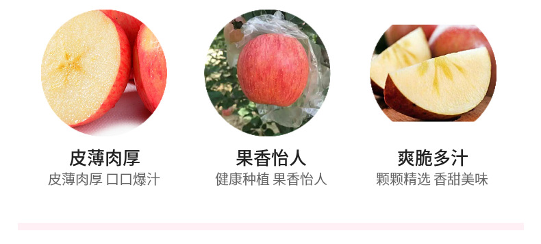四川丑苹果 详情图 9