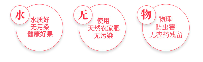 四川丑苹果 详情图 11