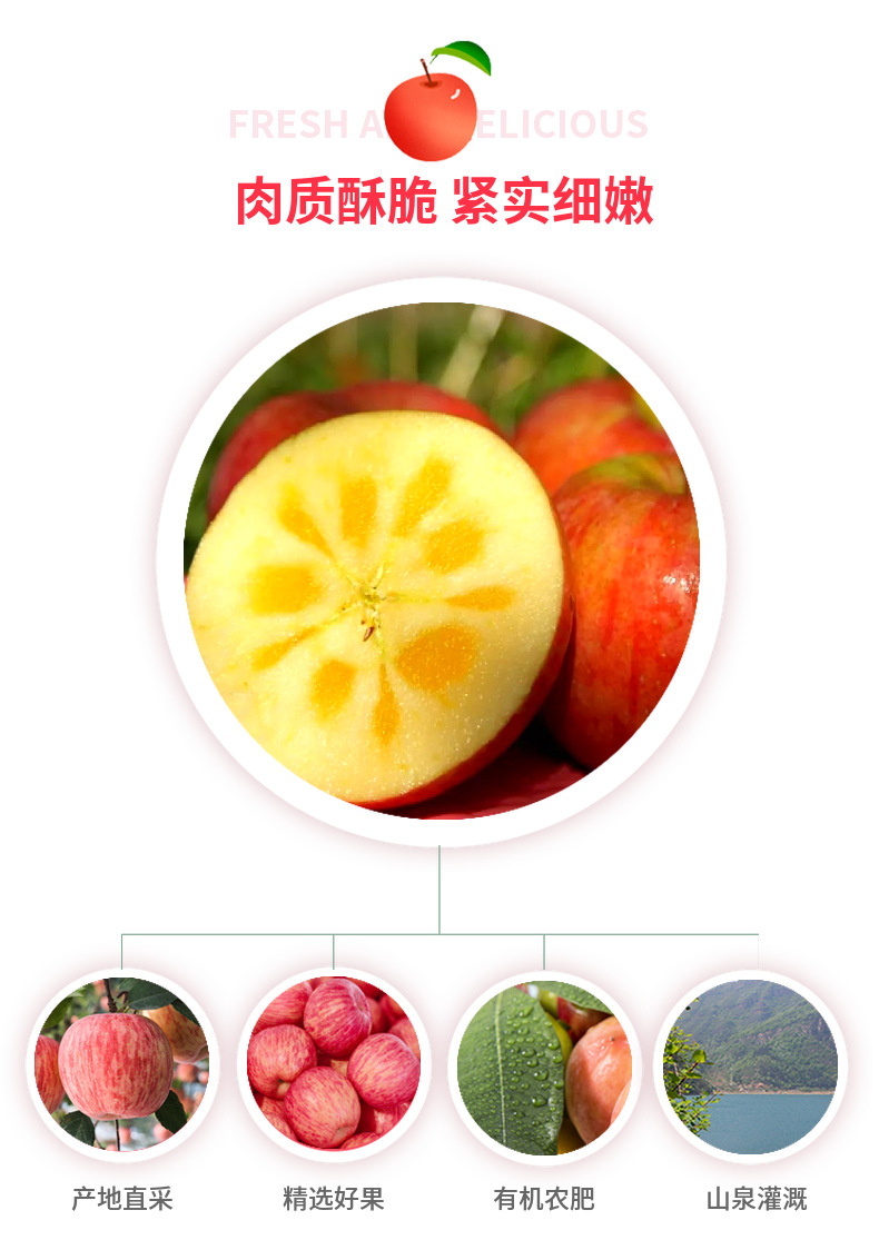 四川丑苹果 详情图 12