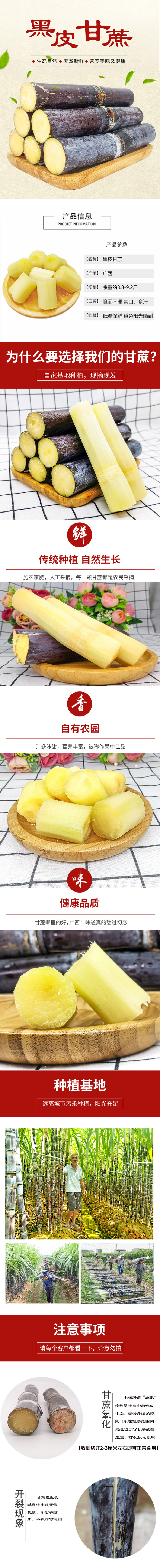 黑皮甘蔗 详情图 6