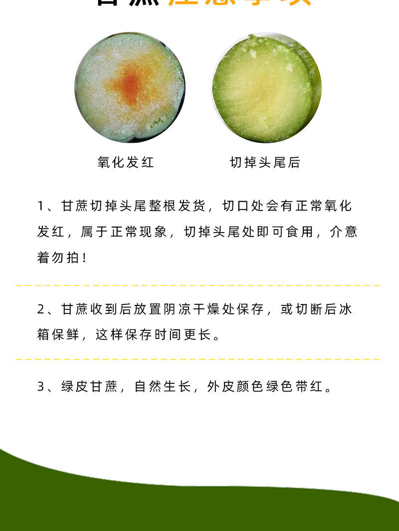 陶山甘蔗 详情图 6