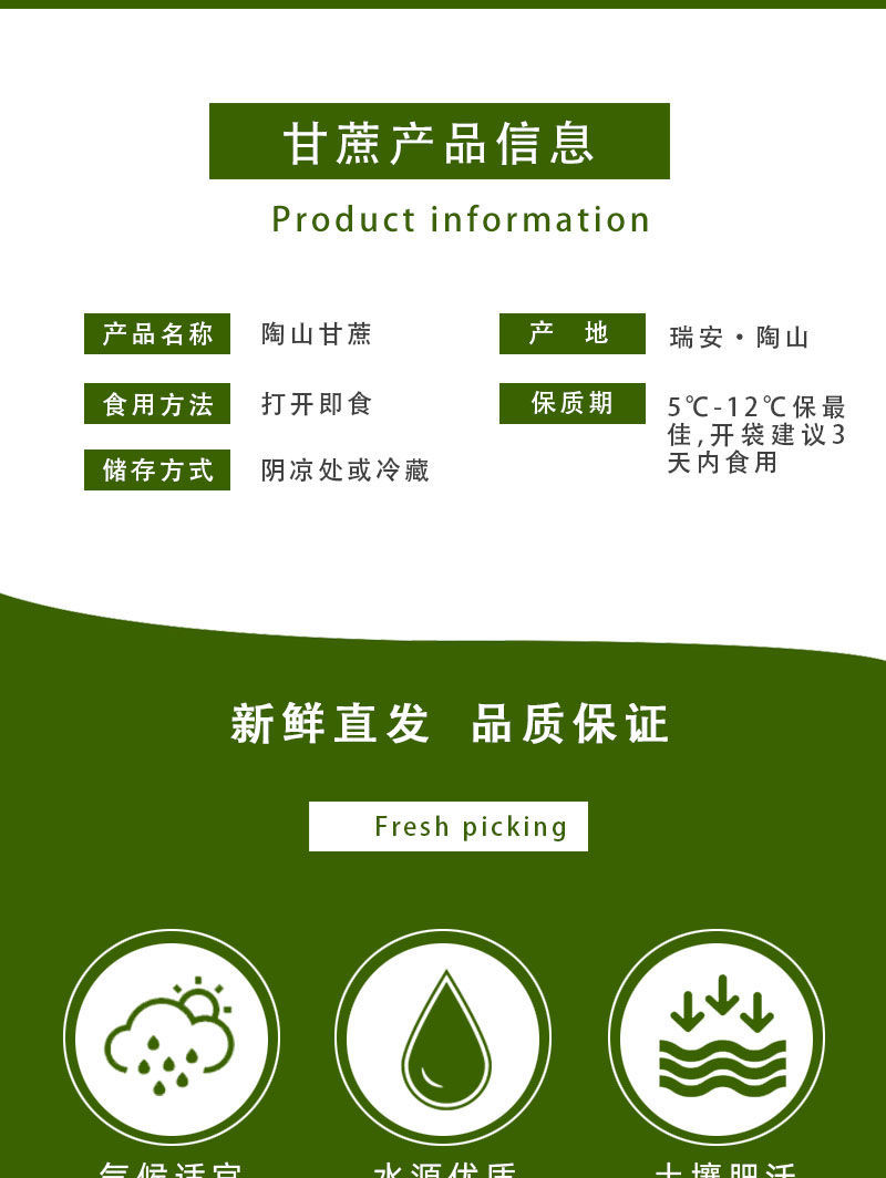 陶山甘蔗 详情图 8