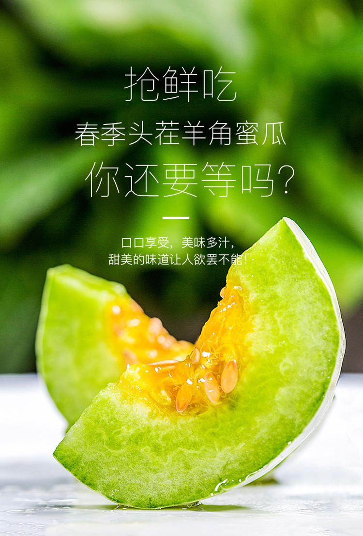 羊角蜜 详情图 13