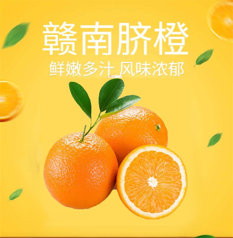 赣南脐橙 详情图 5