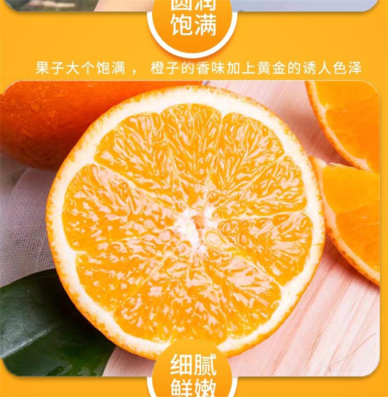 赣南脐橙 详情图 8
