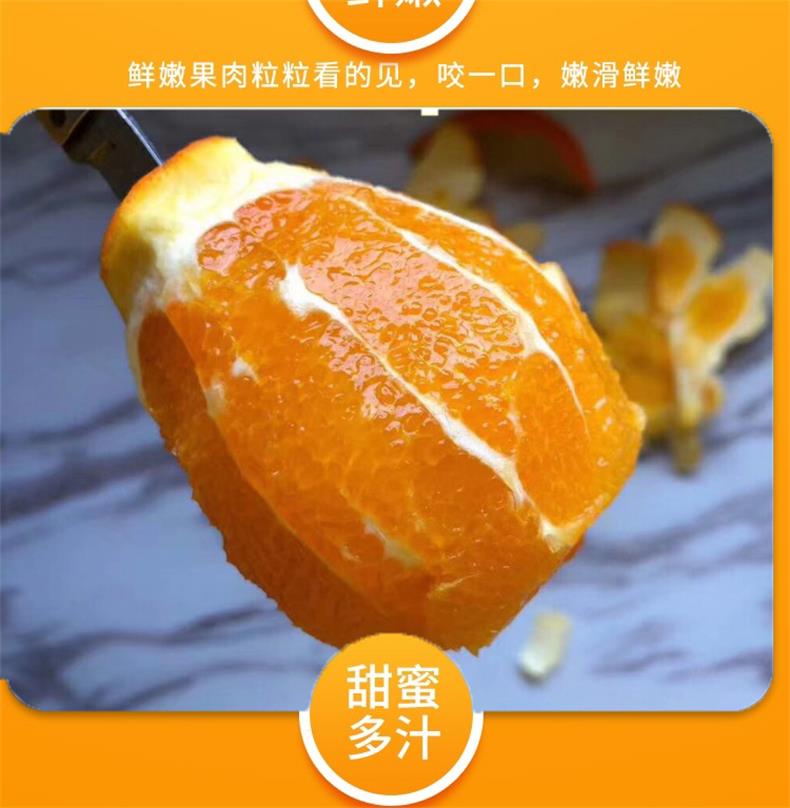 赣南脐橙 详情图 9