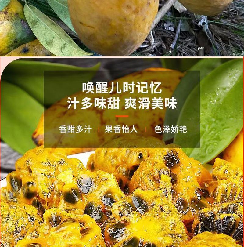 九月黄 详情图 6