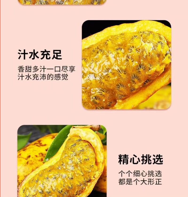 九月黄 详情图 8