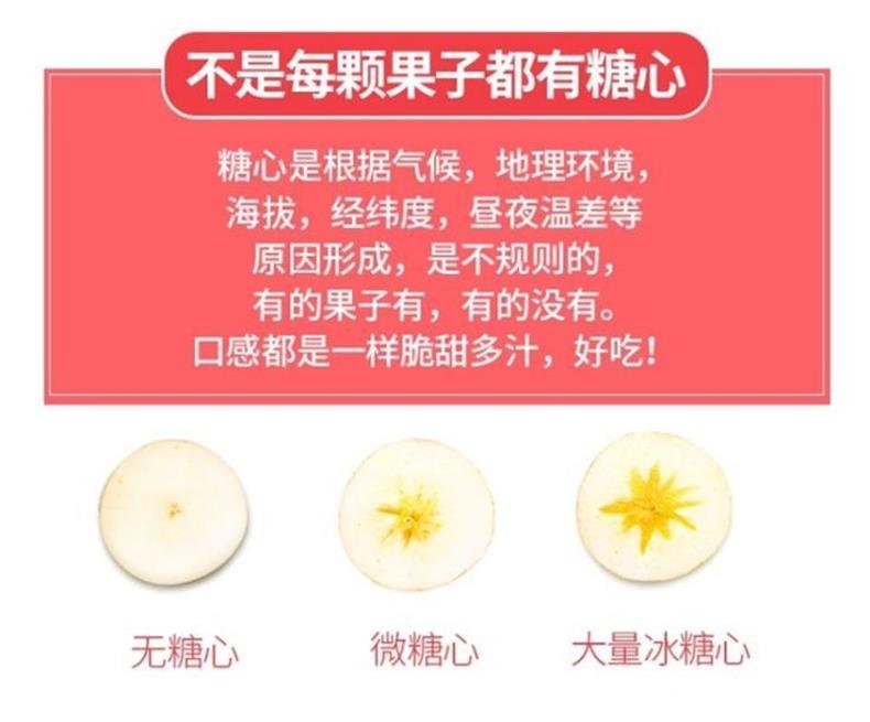 云南昭通丑苹果 详情图 5