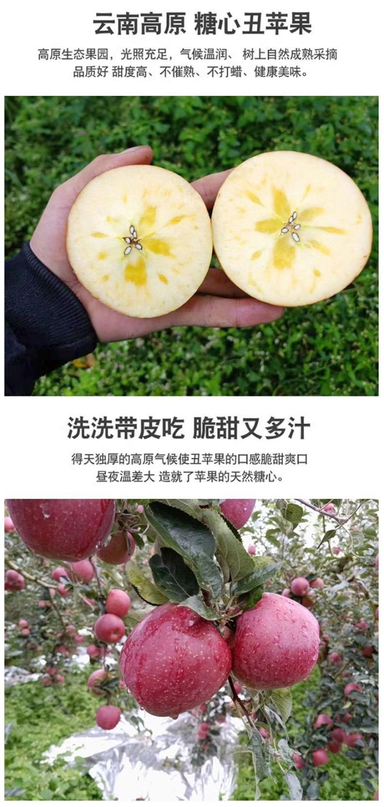 云南昭通丑苹果 详情图 11
