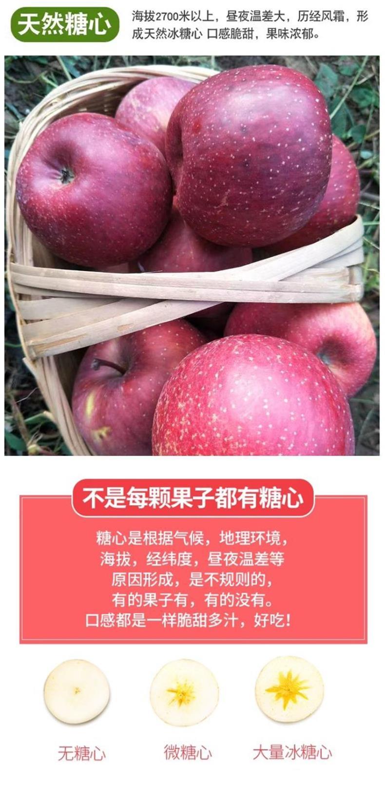 云南昭通丑苹果 详情图 14