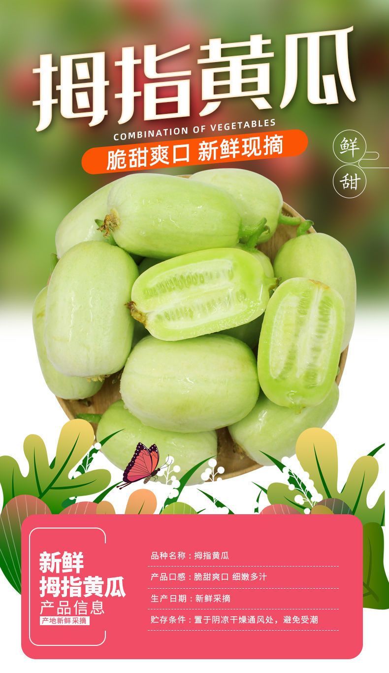 玉女拇指黄瓜 详情图 5