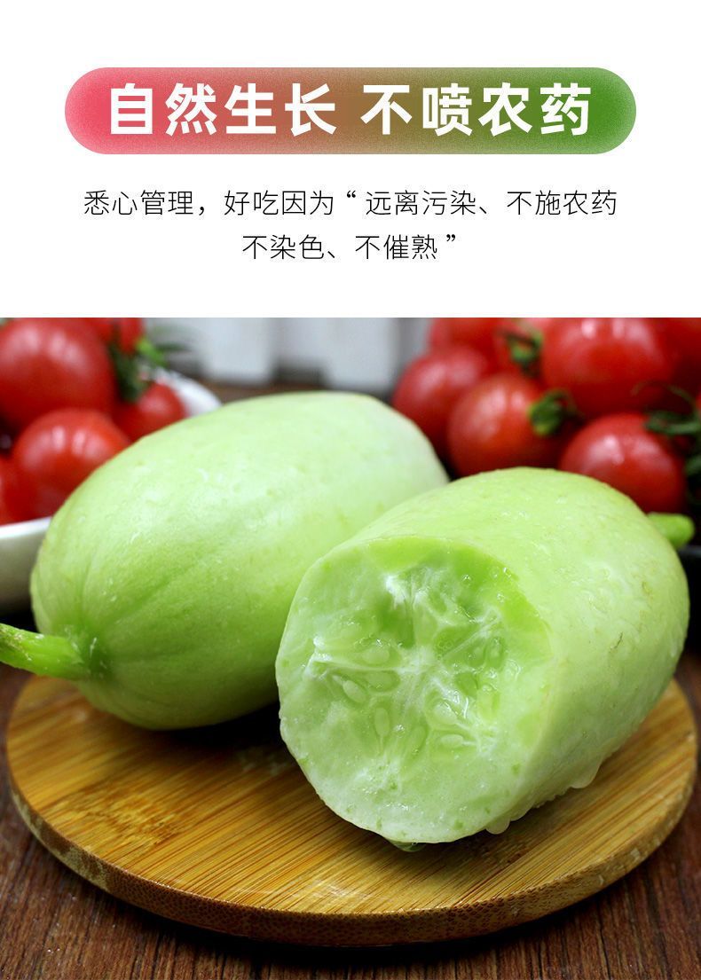 玉女拇指黄瓜 详情图 6