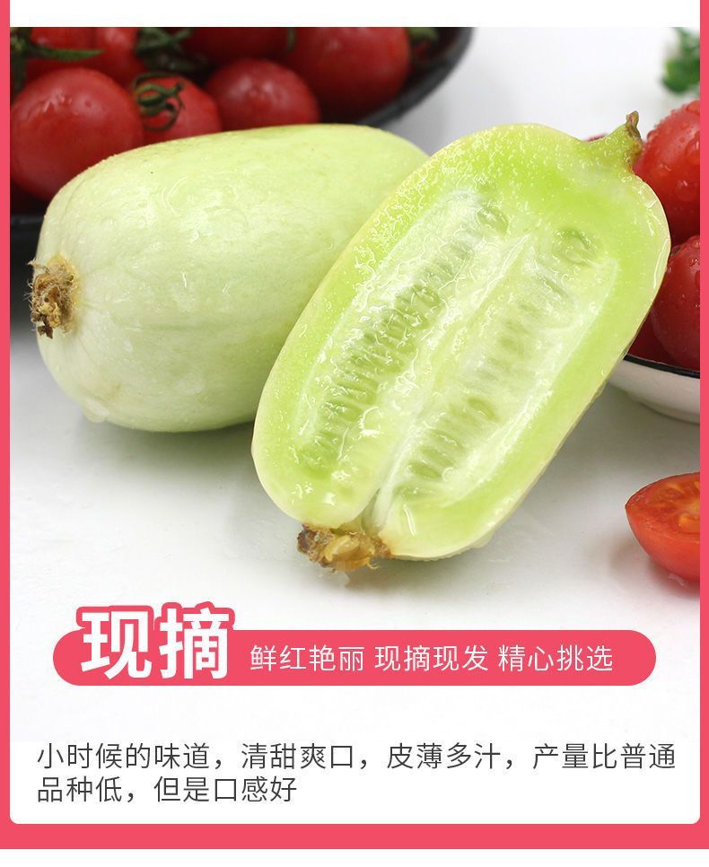 玉女拇指黄瓜 详情图 7