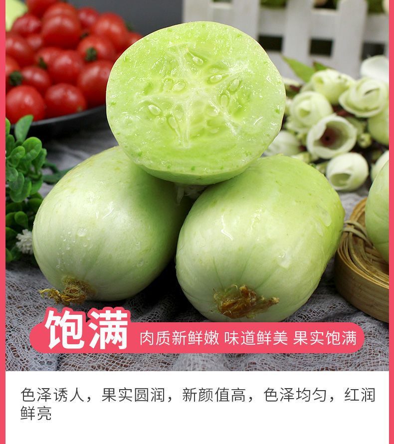 玉女拇指黄瓜 详情图 8
