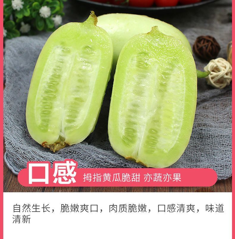 玉女拇指黄瓜 详情图 9