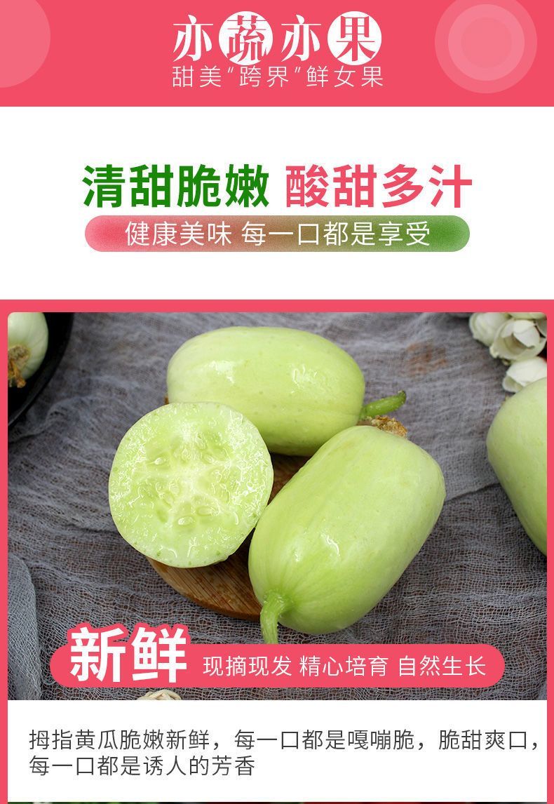 玉女拇指黄瓜 详情图 10