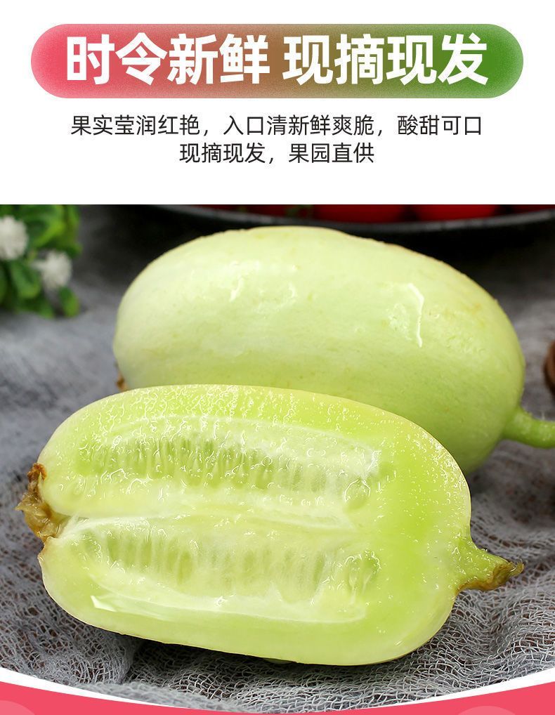 玉女拇指黄瓜 详情图 11