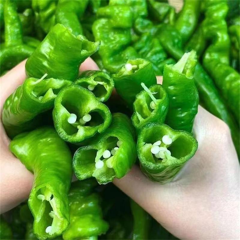 螺丝椒 详情图 3