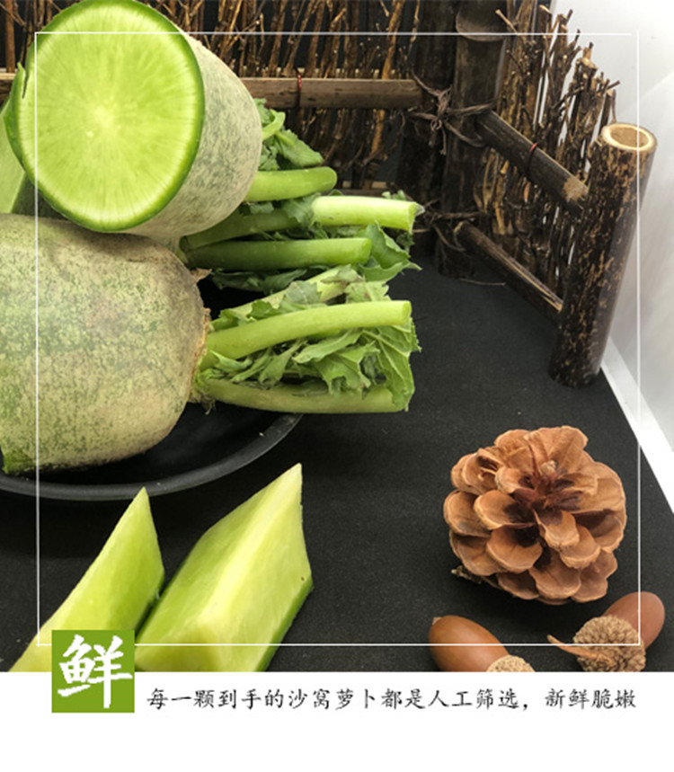 水果萝卜【青萝卜】 详情图 6