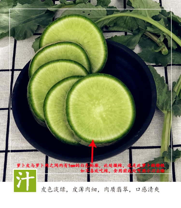 水果萝卜【青萝卜】 详情图 7