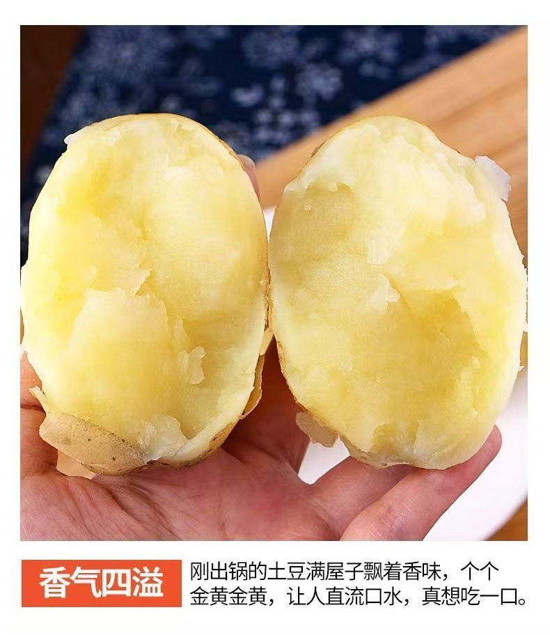 黄皮土豆 详情图 7