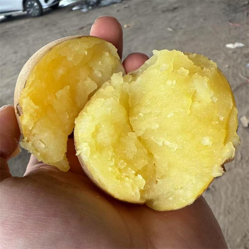 甘肃土豆【希森3号】 详情图 1