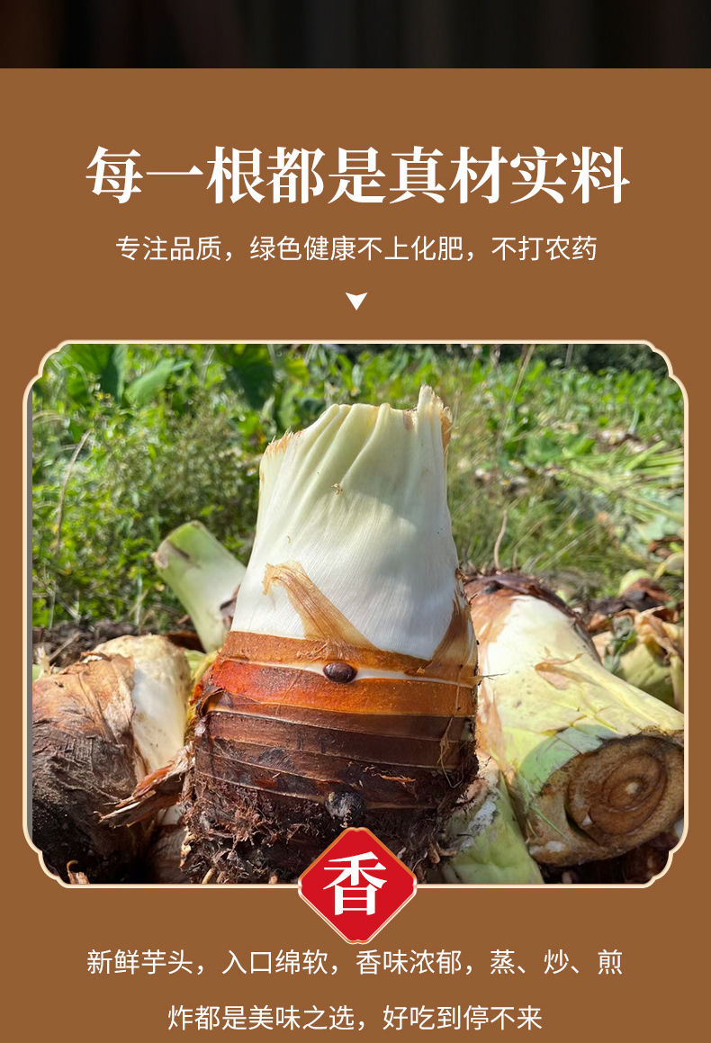 荔浦芋头 详情图 9