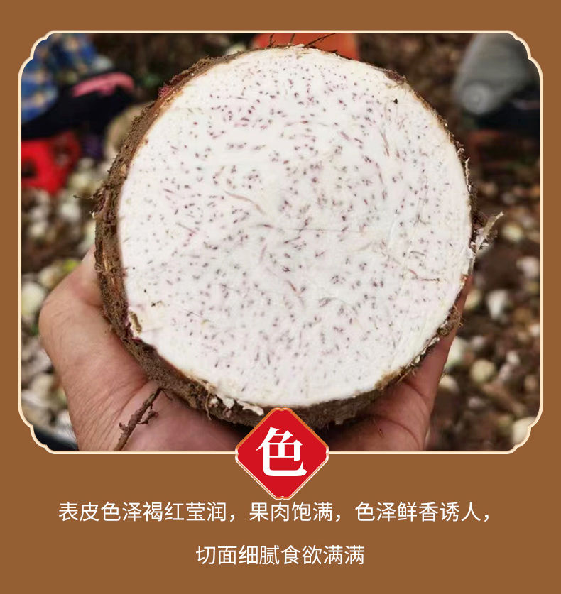 荔浦芋头 详情图 10