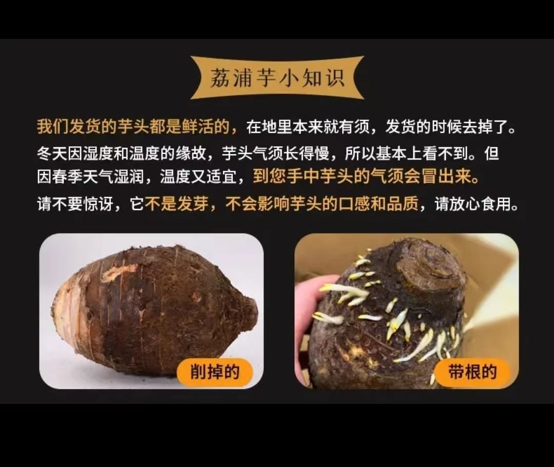 荔浦芋头 详情图 13