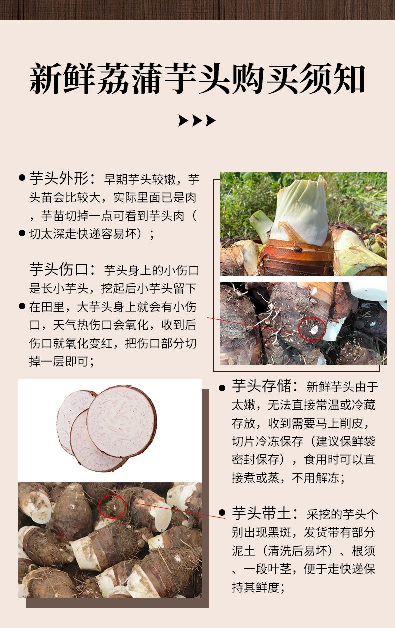 荔浦芋头 详情图 15