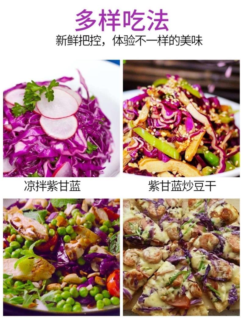 紫甘蓝 详情图 12