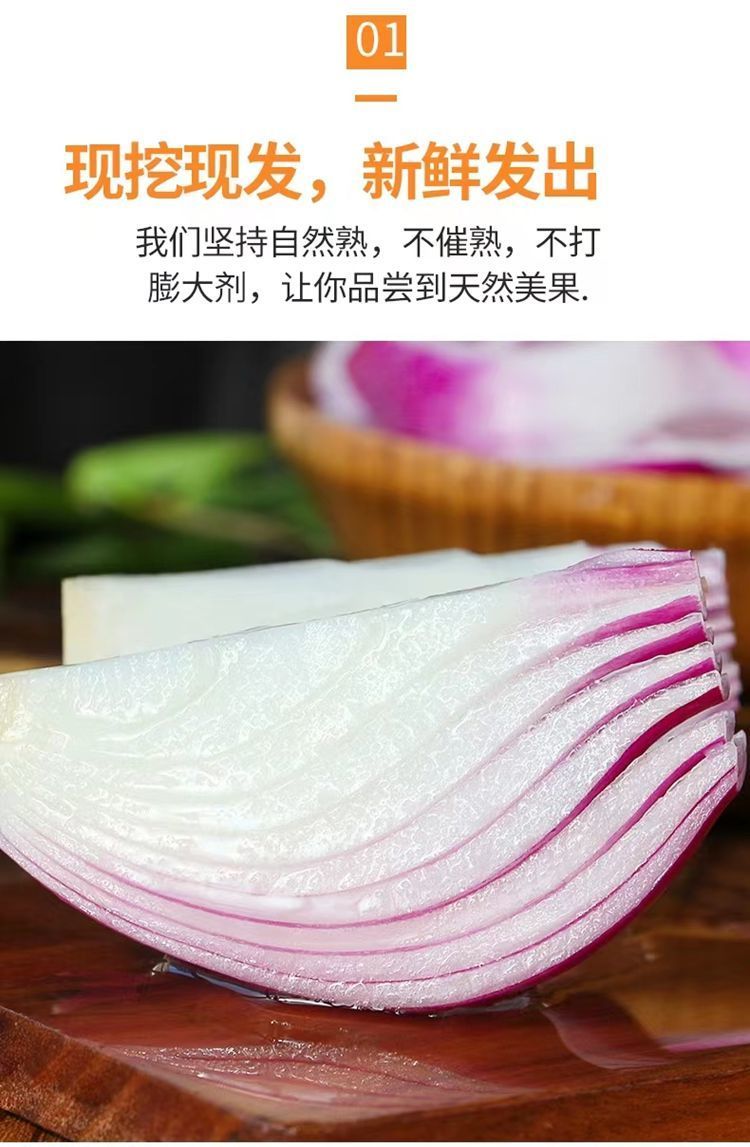 洋葱 详情图 7
