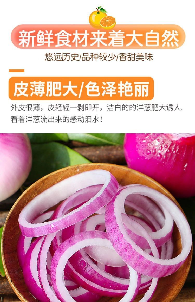 洋葱 详情图 9