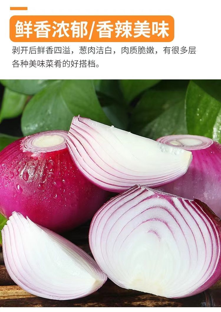 洋葱 详情图 10