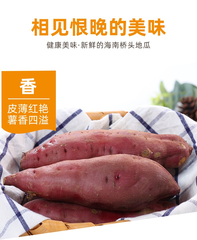 桥头地瓜 详情图 15