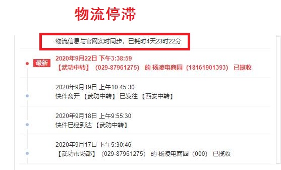 山东红芽嫩姜 详情图 16