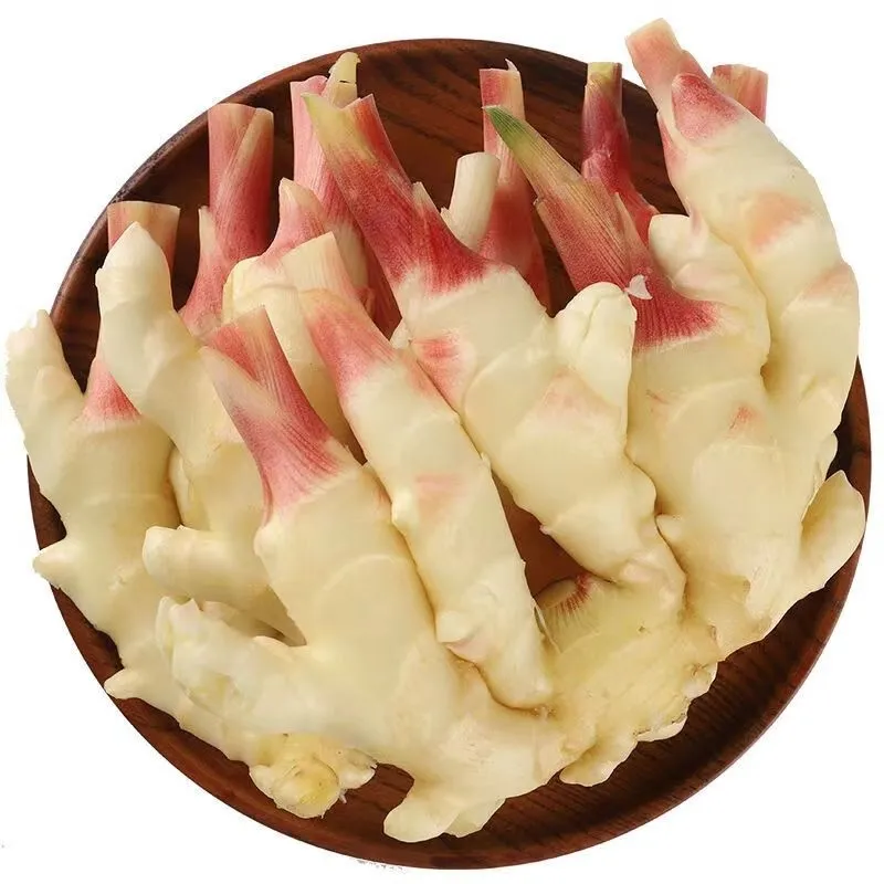 山东红芽嫩姜