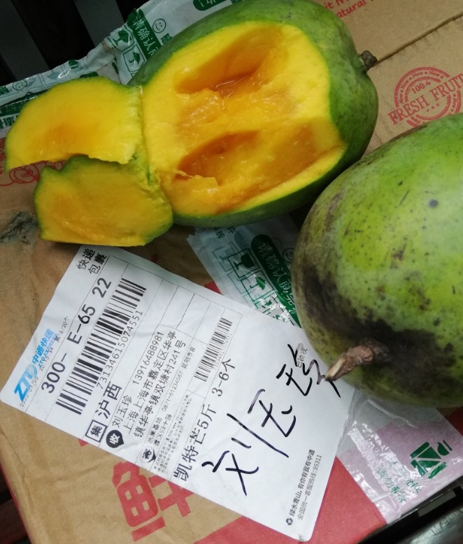 贝贝南瓜 详情图 5