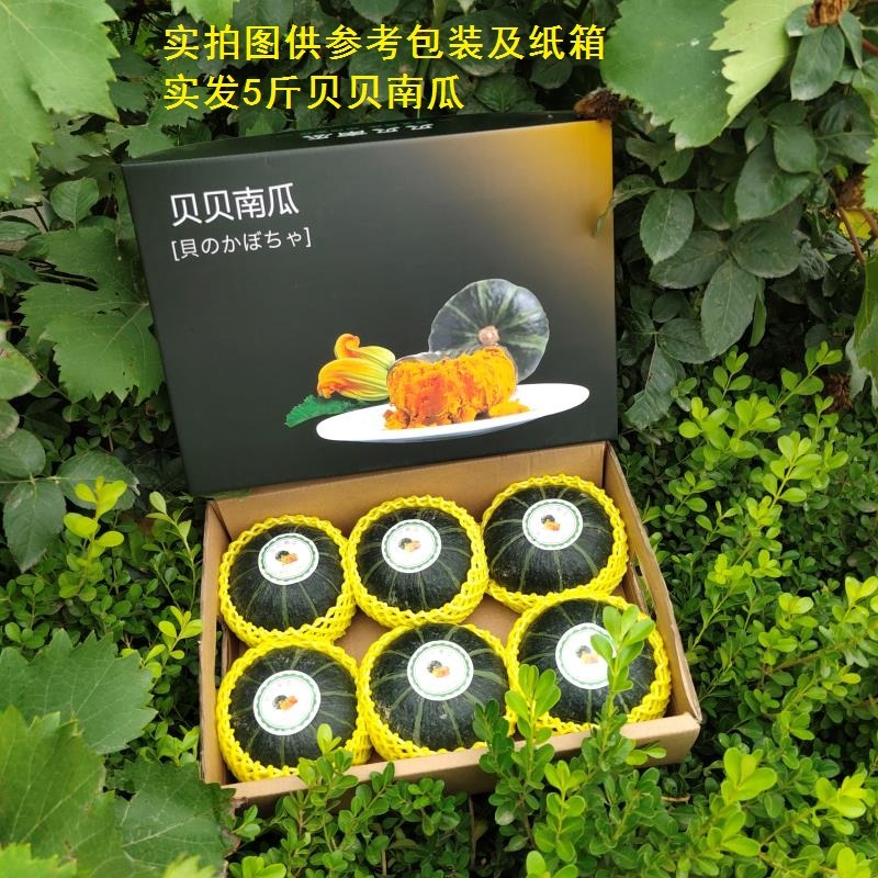 贝贝南瓜 详情图 10