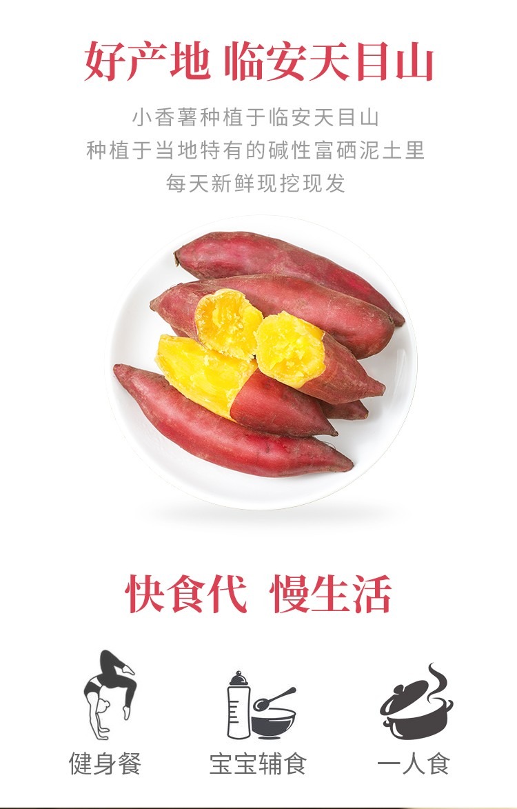 小香薯 详情图 15