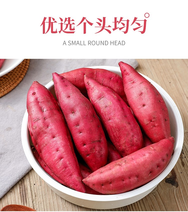 小香薯 详情图 18