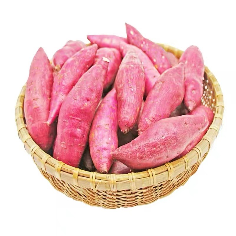 小香薯