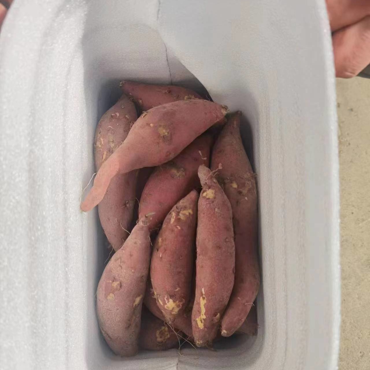 小香薯 详情图 10