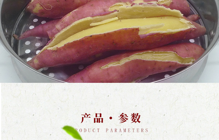 山东板栗红薯 详情图 6
