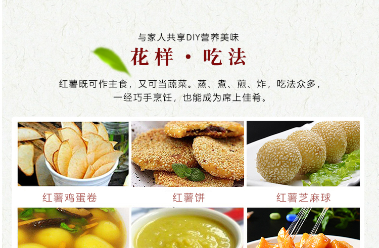 山东板栗红薯 详情图 16