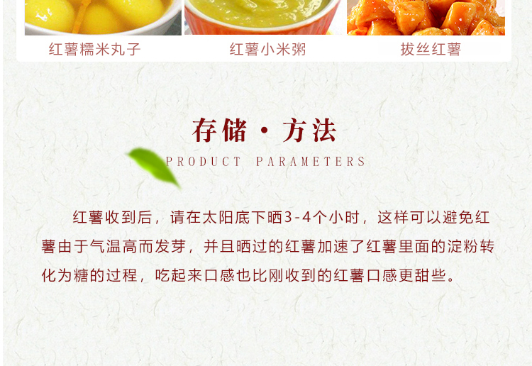山东板栗红薯 详情图 17