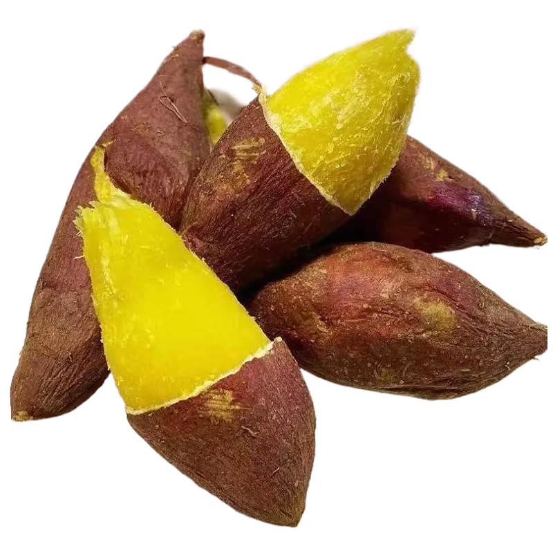 云南榴莲蜜薯